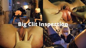 Big Clit Inspection (WMV)