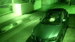 Intense Backseat Blowjob – Wild Naked Encounter Under Covers XXX