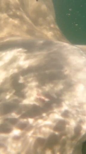 I Cum Just for the Pleasure of Feeling Free, Naked on a Public Beach