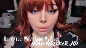 Unlike Your Wife I Know My Place Homewrecker JOI