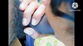 Desi girl friend sucked land in mustard field