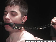 Derek Kage bit gags three horny twink mares and brings them to the edge!