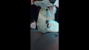 Furry Puppy Voz makes a dirt out of SJ