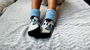 Pingüino medias fetiche