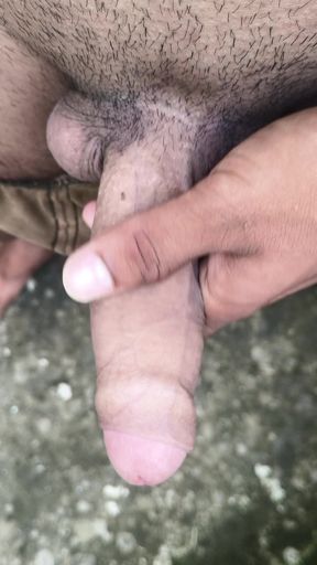 Mera doat land hilate huye