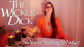 So, You're Starting to Notice - Obey Lady Ashley - The Wicker Dick - FemDom Upskirt Crossed Legs Fetish