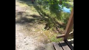 Aujourd&rsquo_hui je suis sortie faire une petite balade Et ma petite chatte a ...