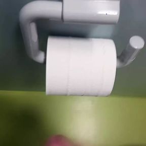 Womens toilet restroom Hotel cumshot on toilet roll