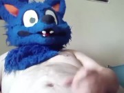 Naughty bule wolf