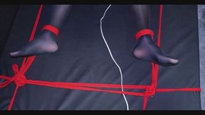 Arknights Texas Captured 01