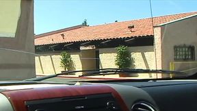 Busty brunette fucks a horny black stud for her interracial fix