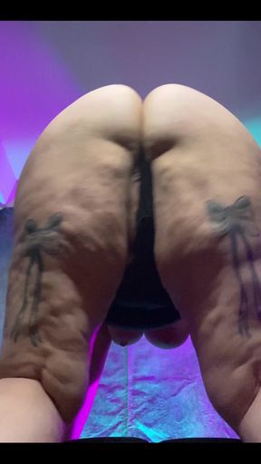 Little shimmy shake shake