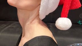 Have a Swallow-y Jolly Christmas with DrArches!