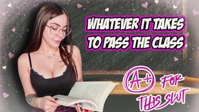 Whatever it Takes, to Pass the Class