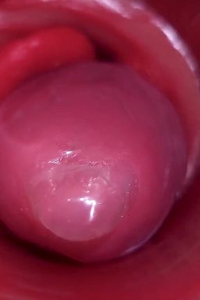 Inside a Camgirl Cervix POV Camera in Vagina with Big Dick Toy