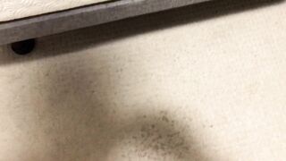 Peeing All Over My Couch, Carpet and Wall !!!