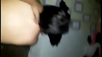 Huevo