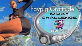 Paypig Gratitude. Day 5 - 10 Day Challenge