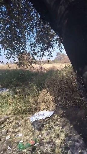 Fun Outside