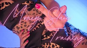 Money Slave Training