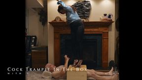 Cock Trample In The Box
