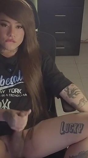 Livestream 6 Junio 2026 Kim