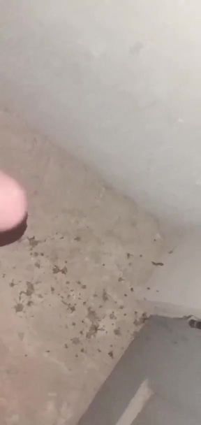 Best Masturbation with a lot of cum