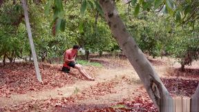 Gay sex among the avocado trees