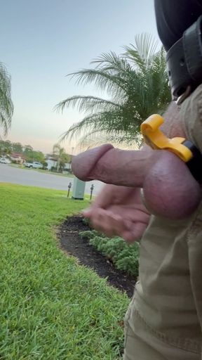 Exhibitionest In Side Yard