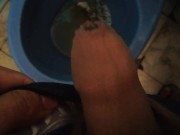 Morning pee in the bathroom - The Cazique