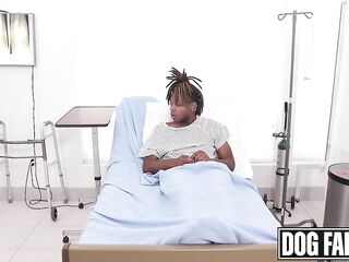 DOGFART - "U Shouldn't Go Into Surgery with An Erection Like That!, Let Me Drain These Balls