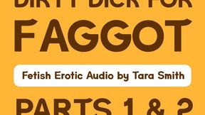 Dirty Dick For Faggot Parts 1 and 2 Fetish Humiliation Audio Only Erotic Story