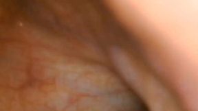 endoscopic journey into my wet pussy in very high resolution with asmr trigger sounds