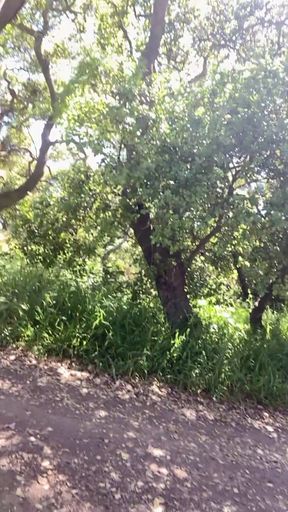 Public Park Slomo cumshots