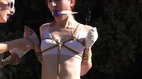 First ever Bondage Walk Training Session for Banshee - Part 2 mp4 SD