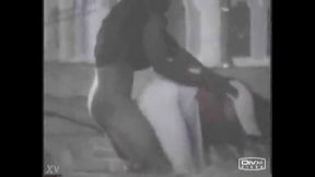 Couple gets caught fucking at the park