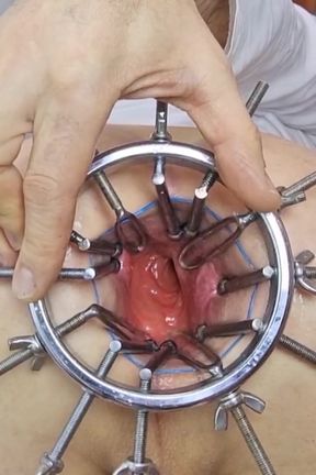 Take a Deep Dive Into My Spread Asshole