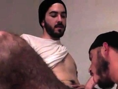 TS Gay Porn ( New VenyverasTRES )