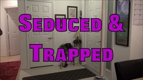 Seduced and wrapped (MP4) Format