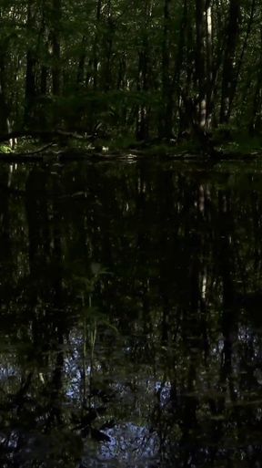 Must-share moment from &quot;trailer Mesmeriza 23 02 MOV CINEMA CLIP 321 20240814134325039&quot;