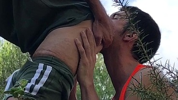 NANDO REY breeding NICHOLAS CHEVALIER at a cruising area