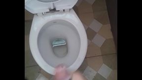 Punjabi In Mohali, Chandigarh