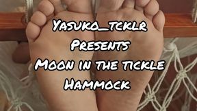 Moon in the tickle hammock