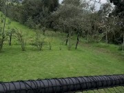 Mis vecinos me observaban mientras me masturbo al aire libre