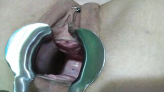 Short Clips and Pics