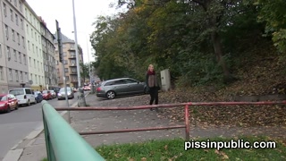 Stingy barbies don't pay for WC and rather risk peeing in city center