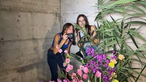 Gaia and Luna photographers captured