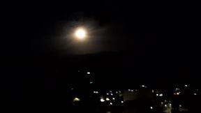 Shy Teacher Sucks Student’s Cock Under the Full Moon