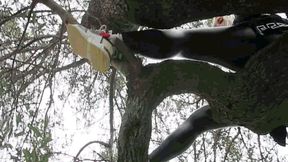 Stuck on a tree AVI