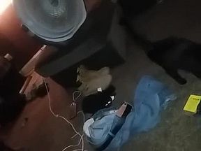 Slut girlfriend passed around